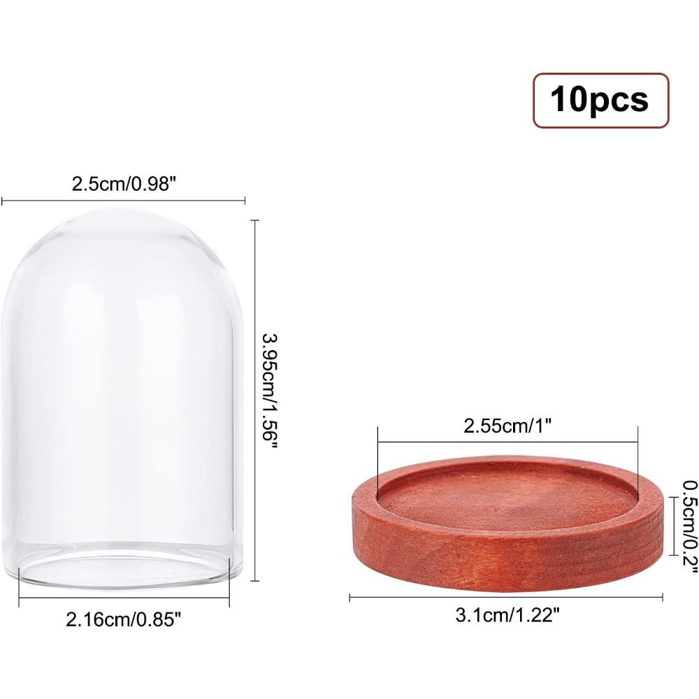 木製ベースのミニドームクローシュ,透明なガラスの陳列ケース, - Glass Container Set のレビューと価格